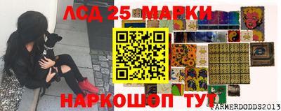 мяу мяу мука Можайск