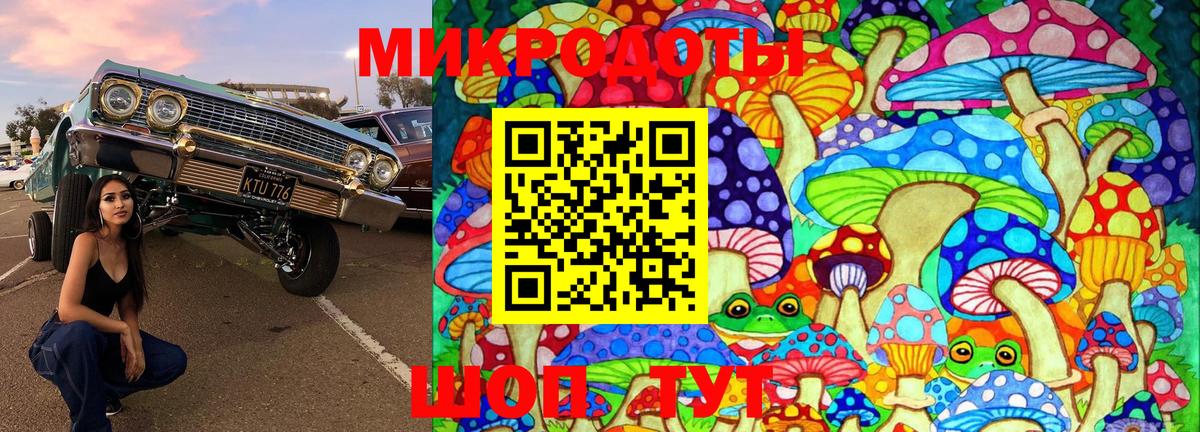 Сланцы  Псилоцибиновые грибы ЛСД  Вход с VPN  Псилоцибиновые грибы Psilocybe 